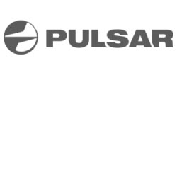 Pulsar